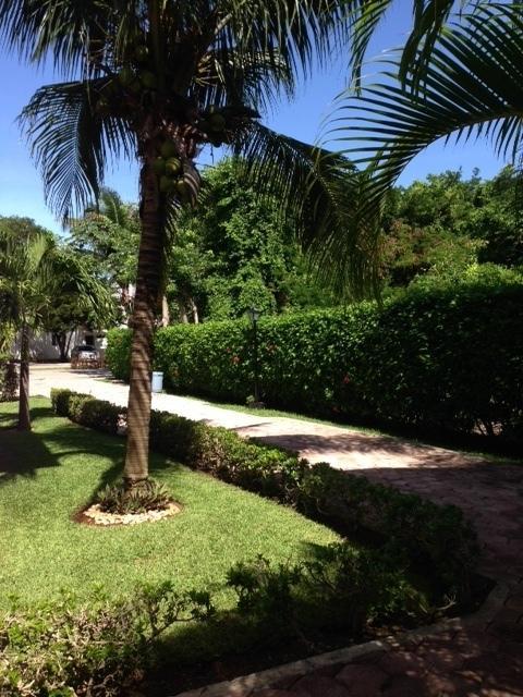 B&B Villa Hibiscus 普拉亚卡门 外观 照片